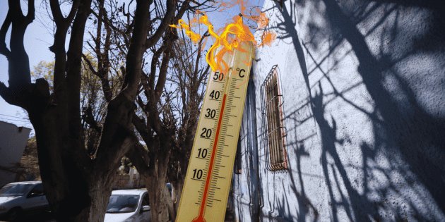 Guadalajara se convierte en un horno: la pérdida de árboles y el calor extremo