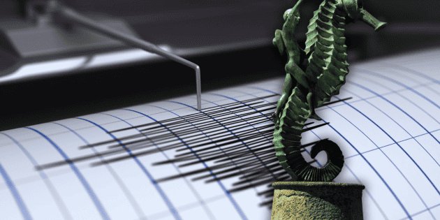 Temblor en Puerto Vallarta: ¿Por qué México es propenso a terremotos?