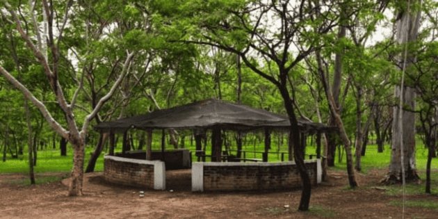 Declaran Área Natural Protegida al Bosque El Centinela y Cañadas de San Isidro