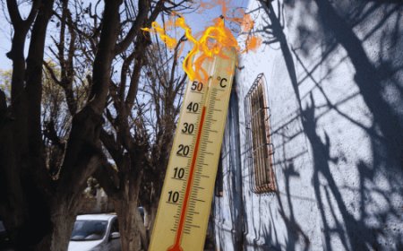 Guadalajara se convierte en un horno: la pérdida de árboles y el calor extremo