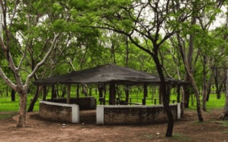 Declaran Área Natural Protegida al Bosque El Centinela y Cañadas de San Isidro