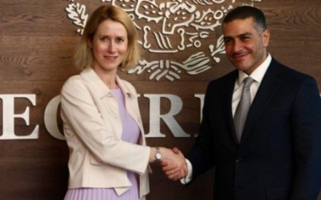 García Harfuch dialoga sobre acciones contra delincuencia con representante de Seguridad de la UE