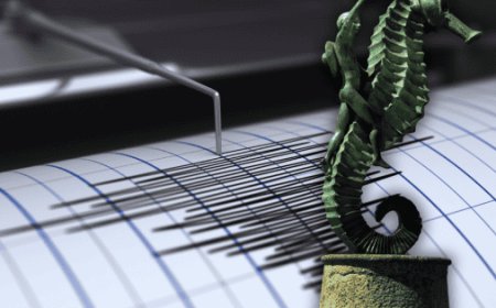 Temblor en Puerto Vallarta: ¿Por qué México es propenso a terremotos?