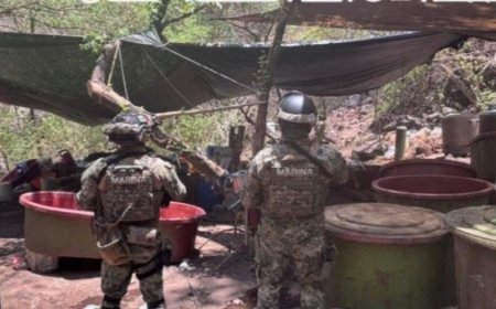 Desmantelan laboratorio clandestino ligado con "El Jardinero" en El Saucillo
