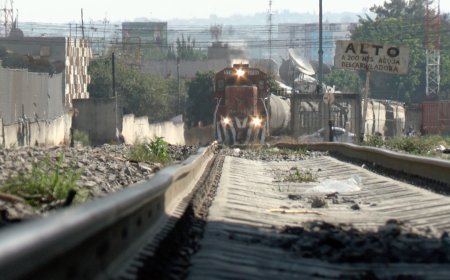Mujer muere arrollada por tren en Cofradía del Rosario