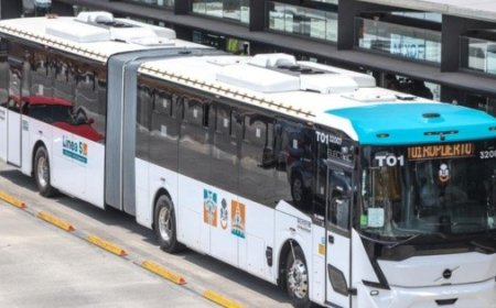 Crece sistema de transporte en Jalisco: estas son las rutas