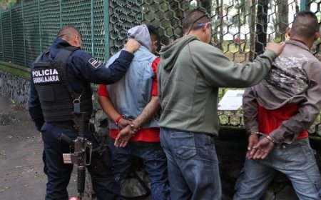 Fallas Procesales: La Debilidad del Sistema Penal que Libera a Delincuentes