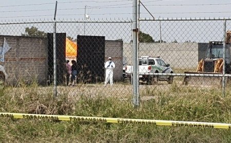Colectivo Desaparecidos Sin Justicia halla restos humanos en dos fincas de Ixtlahuacán de los Membrillos