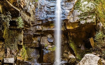 Vive El Salto en Mazamitla
