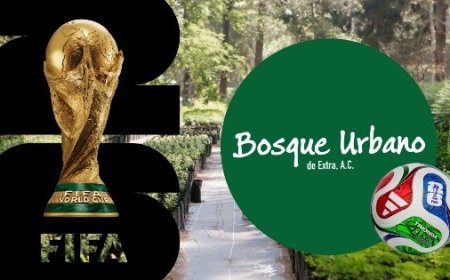 Guadalajara se prepara para el Mundial 2026 con nuevos aliados
