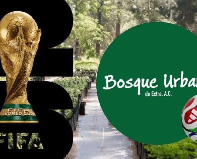 Guadalajara se prepara para el Mundial 2026 con nuevos aliados